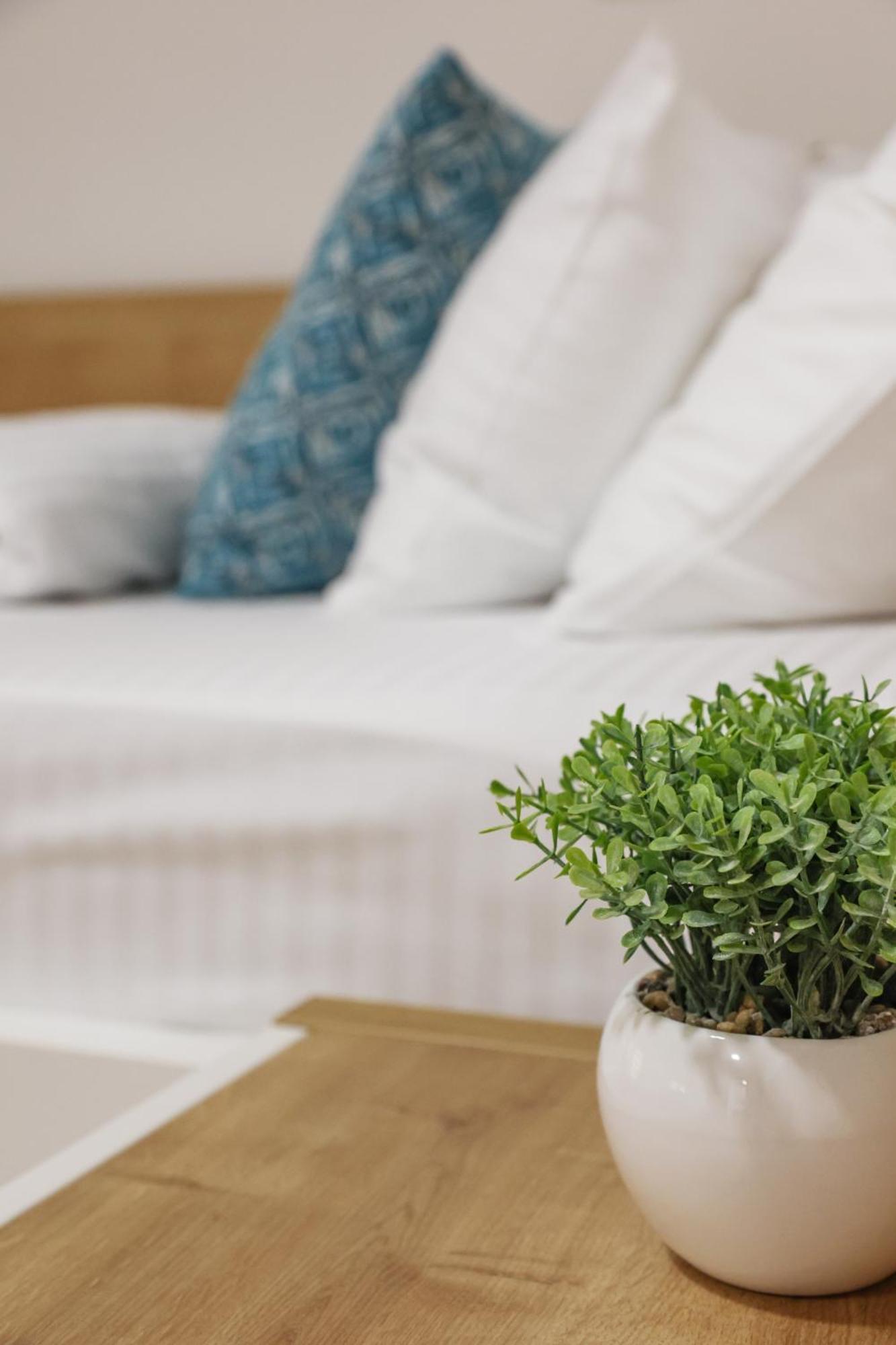 Grand Park Rooms & Apartments Čačak 외부 사진